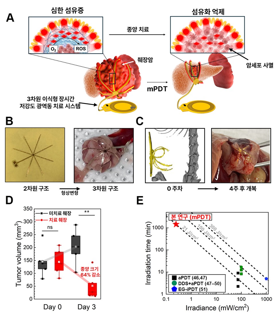 첨부4. 3차원 장시간, 저강도 광역동치료 시스템 개요.jpg