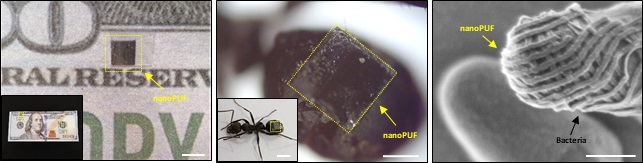 그림 2. 나노 크기의 소형화를 통해 지폐, 개미, 박테리아 위에 부착된 나노 지문 패턴 이미지.jpg