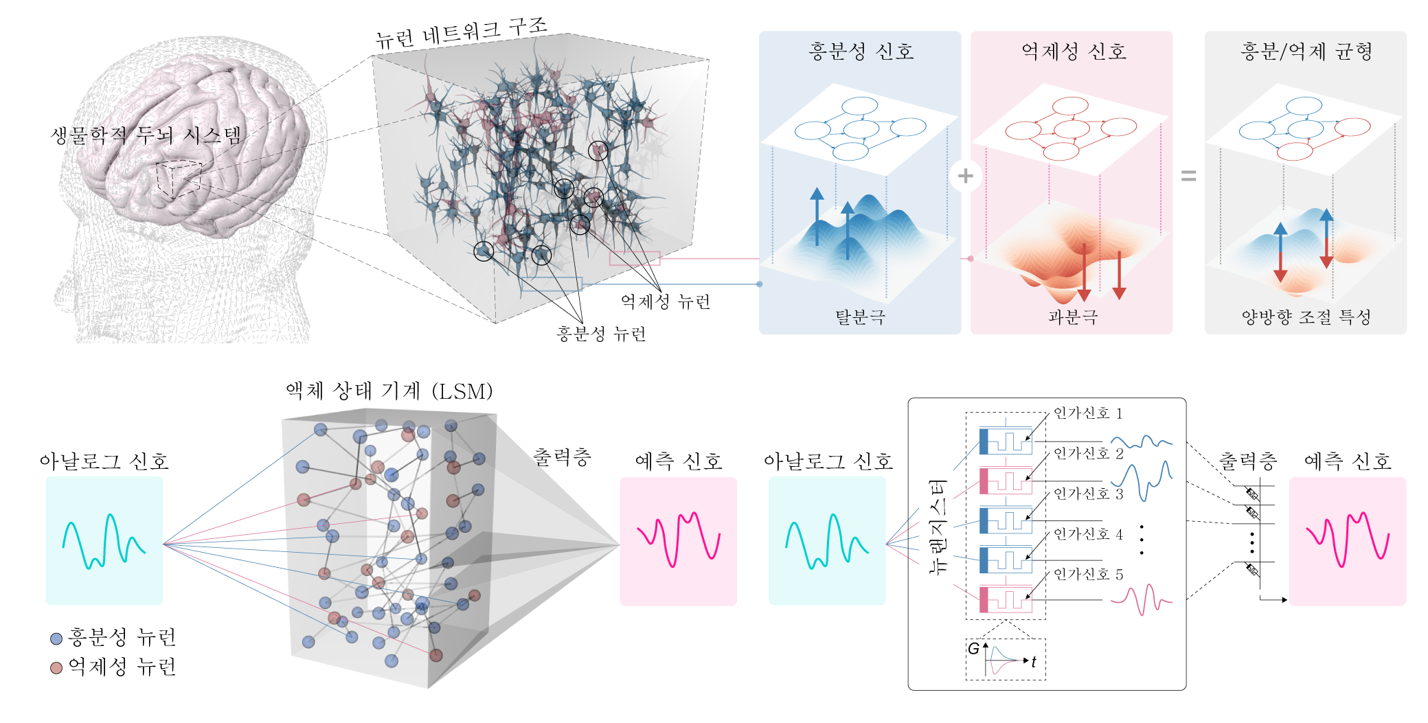 첨부1. 연구모식도.png