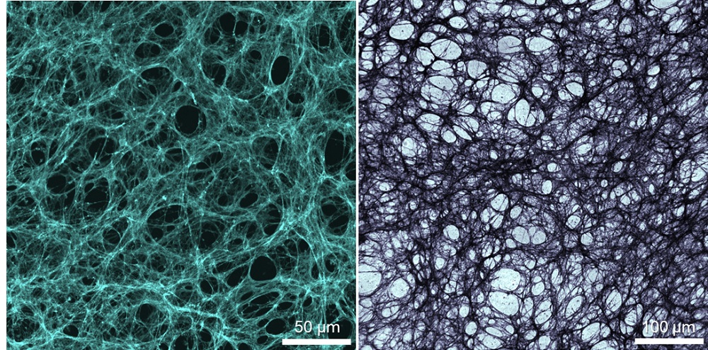 그림 2. 본 연구에 사용한 NIH-3T3 세포에서 유래한 피브로넥틴 형광 현미경 이미지와 이를 모방한 금속 구조체의 명시야 현미경 이~.jpg