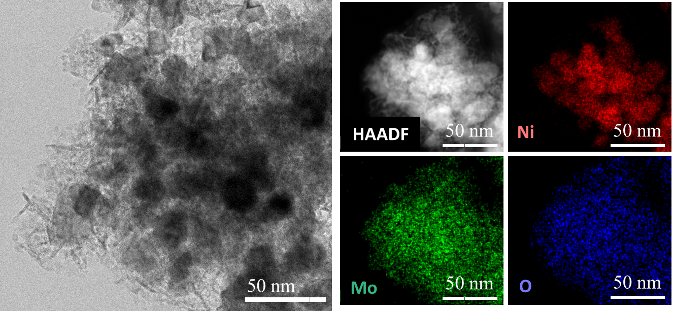 그림 1. 니켈-산화 몰리브데넘 복합체의 투과 현미경 이미지와 조성 분포도.png